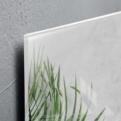Produktbild von SIGEL GL288 Glas-Magnettafel Artverum - Design Botanic - 91 x 46 cm - grau, grün - Sicherheitsglas -