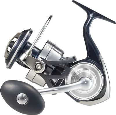 Produktbild von Daiwa Rolle Certate SW Modellgröße 8000-H