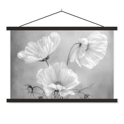 Produktbild von MuchoWow® Textilposter Stilleben - Blumen - Schwarz und weiß - Mohn - Botanisch 90x60 cm mit schwarzem Rahmen - Aufhängungssatz