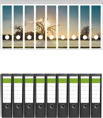 Produktbild von Wallario 9 Stück breite Ordner inkl. Klebeetiketten mit Motive Alte knochige Bäume bei Sonnenuntergang -  Set mit Rückenschildern / Ordnerrücken Stickern