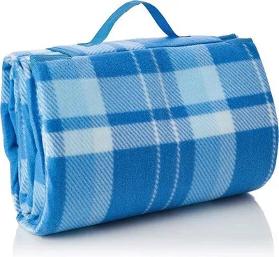 Productafbeelding van Famanu picknickdeken, waterdicht - Blauw-wit geruit