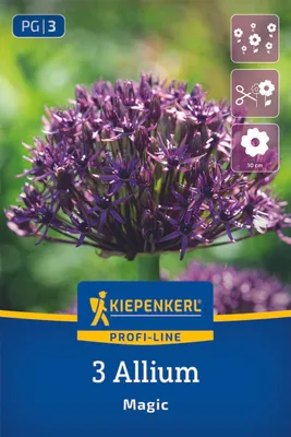 Produktbild von Kiepenkerl Profi-Line Zierlauch Magic Allium sp. 3 Zwiebeln