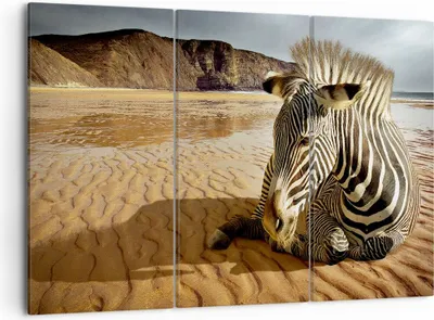 Produktbild von Bild auf Leinwand - Leinwandbild - Zebra Strand Landschaft - 105x70cm - Wand Bild - Wanddeko - Leinwanddruck - Bilder - Kunstdruck - Wanddekoration - Leinwand bilder - Wandkunst - CE105x70-0213