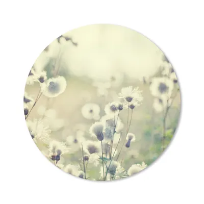 Produktbild von MuchoWow® Mauspad Mousepad Blumen - Feld - Weiß 50x50 cm - Mousepads - Maus Mat - Pad - Mausunterlage - Vinyl