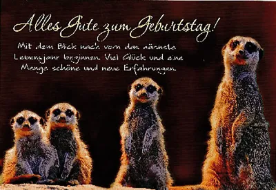 Produktbild von Depesche Cartolini Klappkarte 008156-037