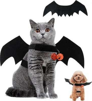 Obrázek produktu pro Kostým s křídly pro psy a kočky, velikost M, Halloween