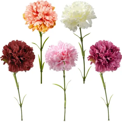 Produktbild von Nelken Kunstblumen künstlich Blüten Kunstpflanzen 1 Stk - ca 52 cm - 5 Farben, 5_Farbe:Apricot