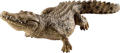 Produktbild von schleich WILD LIFE Krokodil, 3 Jahr(e), Safari, Wild animals / adventure toys, Mehrfarbig, Kunststoff, 1 Stück(e)
