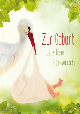 Produktbild von Geburt  Baby  Freudiges Ereignis  Glückwunschkarte im Format 115x17cm