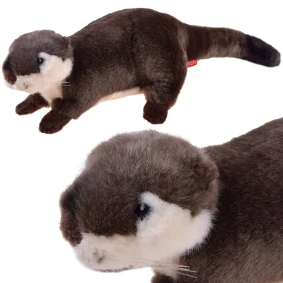 Immagine prodotto di Mascotte di peluche lontra europea 20 cm 13403