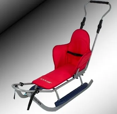 Produktbild von Sport Schlitten silber-rot incl. Fußstütze, Schiebestange und Sitzauflage NEU