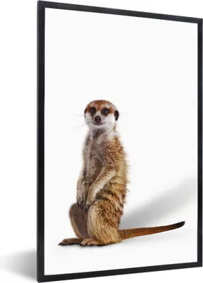 Produktbild von MuchoWow® Gerahmtes Poster Erdmännchen - Tiere - Fell 60x90 cm - Poster mit Schwarzem Bilderrahmen Wandposter Rahmen Foto Bilder - Kunst