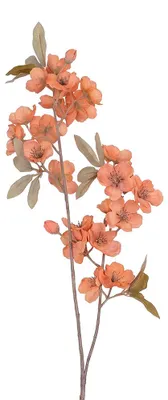Immagine prodotto di Clayre & Eef, fiore artificiale, colore arancione, materiale: plastica