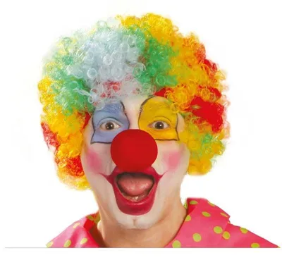 Productafbeelding van Gekleurde clown-haar pruik voor volwassenen