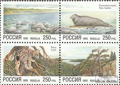 Produktbild von Briefmarken Russland 1995 Mi 422-425 Viererblock (kompl.Ausg.) postfrisch Naturschutz