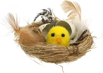 Produktbild von Osterdekoration Küken im Nest mit Federn Frühlingstischdeko Osternest Geschenktipp