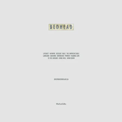 Obrázek produktu pro Bedhead: What Fun Life Was (Pink Vinyl)