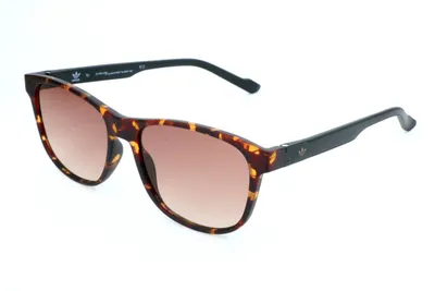 Image de Adidas AOR031 CM1397 092.009 HAVANA 54/16/145 Lunettes de soleil pour hommes