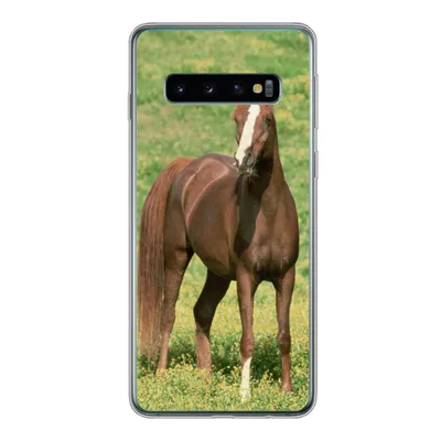 Produktbild von MuchoWow® Handyhülle Schutzhülle Hülle für Samsung Galaxy S10 Pferde - Gras - Braun Silikon Softcase Handy Hülle - Handytasche