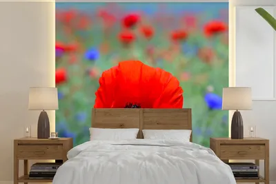 Produktbild von MuchoWow® Fototapete für Wohnzimmer oder Schlafzimmer Wandtapete Vinyl Motivtapete Lila und rote Mohnblumen auf einer Wiese - 300x300 cm - Wanddekoration
