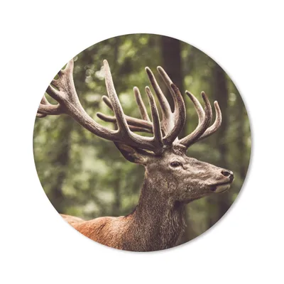 Produktbild von MuchoWow® Mauspad Mousepad Hirsch - Natur - Geweih - Wald - Tiere 30x30 cm - Mousepads - Maus Mat - Pad - Mausunterlage - Tischunterlage - Schreibtischmatten