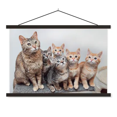Produktbild von MuchoWow® Textilposter Katze - Kätzchen - Fell 90x60 cm mit schwarzem Rahmen - Aufhängungssatz