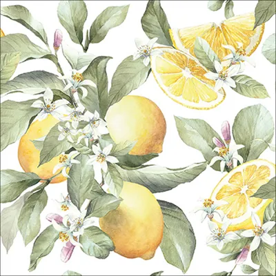 Immagine prodotto di Tovaglioli 33x33 cm - Limoni