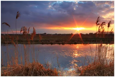 Produktbild von Wallario Premium Glasbild, freischwebende Optik, kräftige Farben, Größe 90 x 60 cm Motiv Sonnenuntergang über dem Fluss, Gräser im Wind