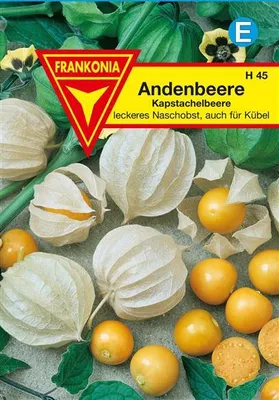 Produktbild von Andenbeere
