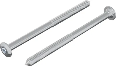 Obrázek produktu pro Šroub 2 pcs Stříbrná M6 x 85 mm Ocel