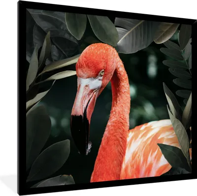 Produktbild von MuchoWow® MuchoWow® Gerahmtes Poster Flamingo - Blätter - Porträt 40x40 cm - Poster mit zchwarzem Bilderrahmen - Mit Rahmen - Wanddekoration Schlafzimmer