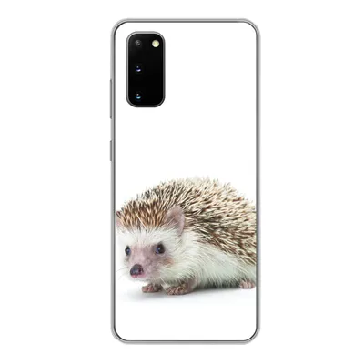 Produktbild von MuchoWow® Handyhülle Schutzhülle Hülle für Samsung Galaxy S20 Igel - Tiere - Weiß Silikon Softcase Handy Hülle - Bild