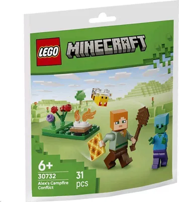 Obrázok produktu pre LEGO Minecraft Alex a konflikt pri táboráku, Stavebnica, 6 rok / roky, Plast, 31 kusov, 25 g