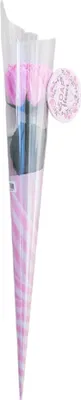 Produktbild von Nelkenseifenblume Rosa mit Foliendekoration