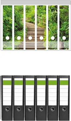 Produktbild von Wallario 6 Stück breite Ordner inkl. Klebeetiketten mit Motive Steintreppe im Wald -  Set mit Rückenschildern / Ordnerrücken Stickern