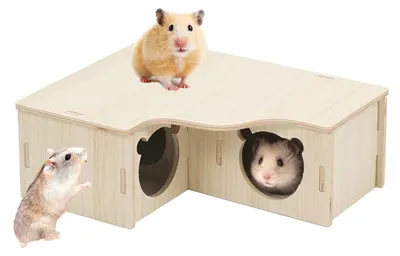 Immagine prodotto di Casetta per criceti angolare - Legno - Tetto rimovibile - Per criceti, gerbilli e piccoli roditori