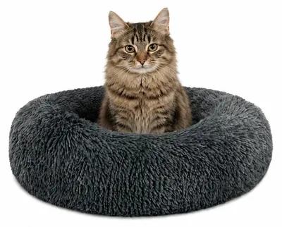 Produktbild von lionto Donut Katzenkissen, rundes Bett mit Plüschbezug & Anti-Rutsch-Boden, erhöhter Rand für Geborgenheit, 40 cm Durchmesser, dunkelgrau
