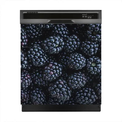 Produktbild von Magnete Dekorative 60x60 cm Küche Magnetmatte Spülmaschine - Brombeere Obst