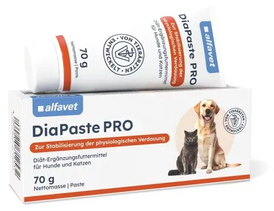 Produktbild von Dia Paste PRO 70g