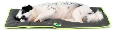 Produktbild von FERPLAST - Tappetino per Cani e Gatti - Cuccia per Cani Lavabile Media - Materas