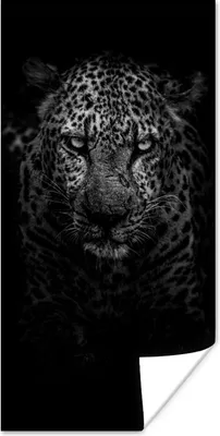 Produktbild von MuchoWow® Poster Leopard - Schwarz - Weiß 60x120 cm - Wandschmuck