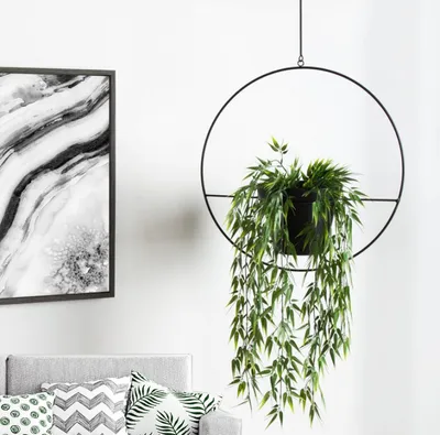 A hanging planter with a green plant is displayed next to a framed abstract artwork, with a sofa and pillows visible in the foreground.