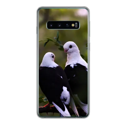 Produktbild von MuchoWow® Handyhülle Schutzhülle Hülle für Samsung Galaxy S10 Vögel - Zweig - Blätter Silikon Softcase Handy Hülle - Handytasche