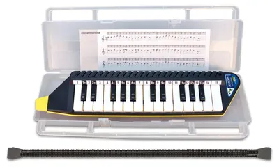 Zdjęcie produktu dla Bontempi 33 4262, Instrument muzyczny zabawka, Pianino, 282 g, Czarny