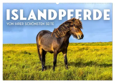 Produktbild von Islandpferde - Von ihrer schönsten Seite (Wandkalender 2027 DIN A2 quer), CALVENDO Monatskalender