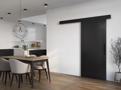 Produktbild von Schiebetür RORY 2 schwarz 90x204 cm mit geräuschlosem Schließsystem
