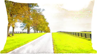 Produktbild von MuchoWow® Zierkissen Sofakissen Wohnzimmer Dekokissen 50x30 cm Wolken - Bäume - Straße - Wohnzimmerdekoration - Polster mit Photo