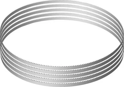 Obrázok produktu pre Pilový kotúč pre píly na kosti 1650 x 16 x 0,56 mm, kompatibilné modely pre elektrické píly na kosti HC-210, HC-250, YF-400A HC-280, vhodné na tvrdé kosti, mrazené mäso, ryby atď.