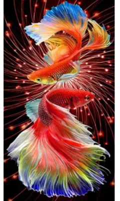 Produktbild von NORIMPEX Kleiner Diamantenofen June Fish 30x40cm