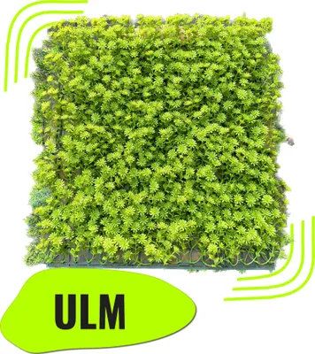 Produktbild von GeckoWall "ULM" | Premium Blüten grüne Pflanzenwand | Gastronomie Blumenwand Wandverkleidung | Kunstpflanzen Wandmontage | Mooswand Wandpaneele